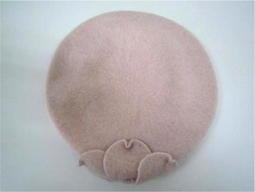 Supermax - Accessories Beret2
